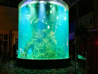 China personalizado barato super grande rodada pmma aquários de vidro claro cilindro acrílico tanques de peixes