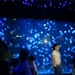 2018 acrílico medusa tanque de aquário de vidro