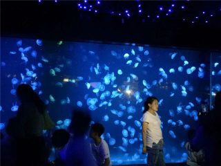 2018 acrílico medusa tanque de aquário de vidro