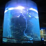 tanque de peixes grande do cilindro acrílico claro para aquários ou parque do oceano