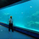 Painel acrílico UV da parede do molde para o aquário, oceanarium
