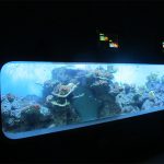Artificial Acrílico cilíndrico aquário de peixes transparente / janela de exibição