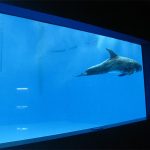 alta qualidade Acrílico grande aquário / piscina janela subaquática grossa folha de janelas