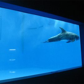 alta qualidade Acrílico grande aquário / piscina janela subaquática grossa folha de janelas