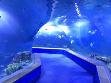 Clear pmma acrylic Grande túnel de plástico do aquário