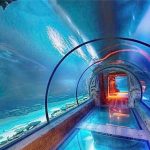 Túnel longo do aquário acrílico design moderno