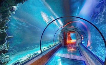 Túnel longo do aquário acrílico design moderno
