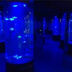 aquário de acrílico tanque de aquário de vidro