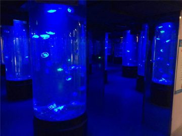 aquário de acrílico tanque de aquário de vidro